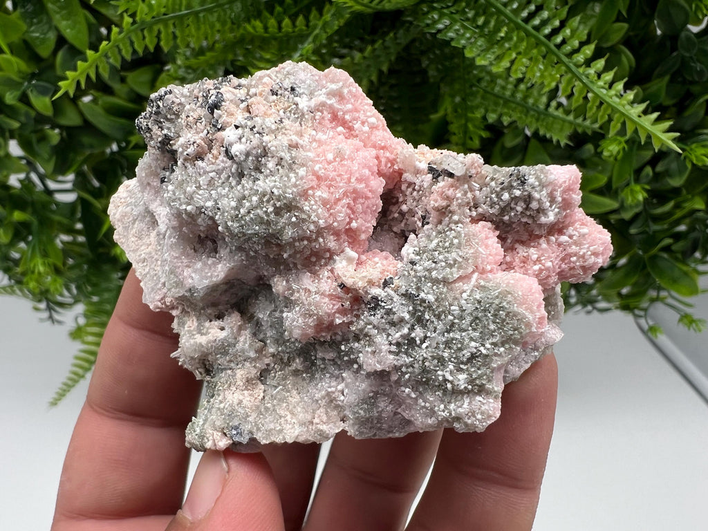 RARE Rhodochrosite with Calcite: Starnica Mine, Bulgaria