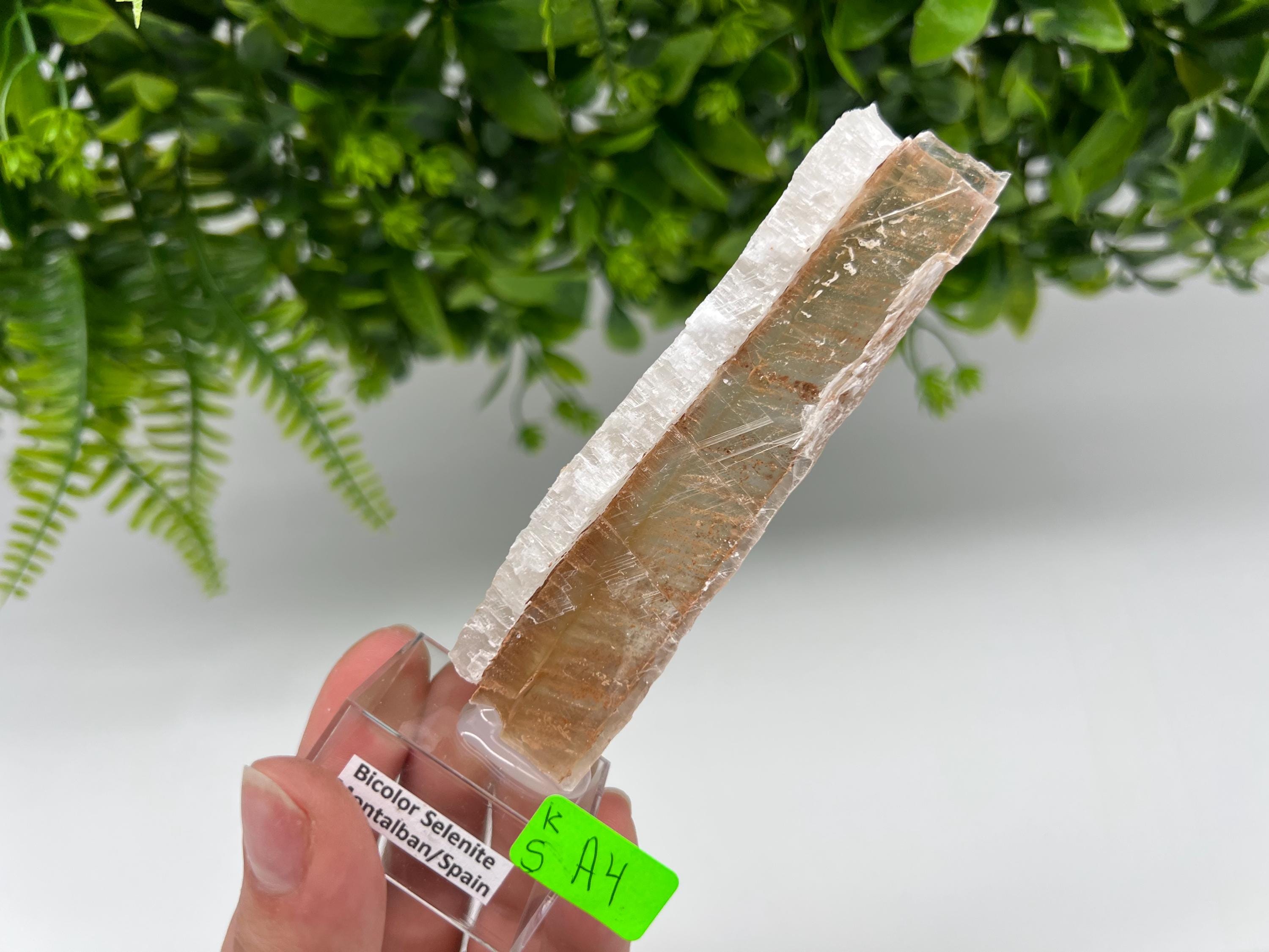 Golden Phantom Selenite Slab: Utah Raw Fishtail Selenite Wand