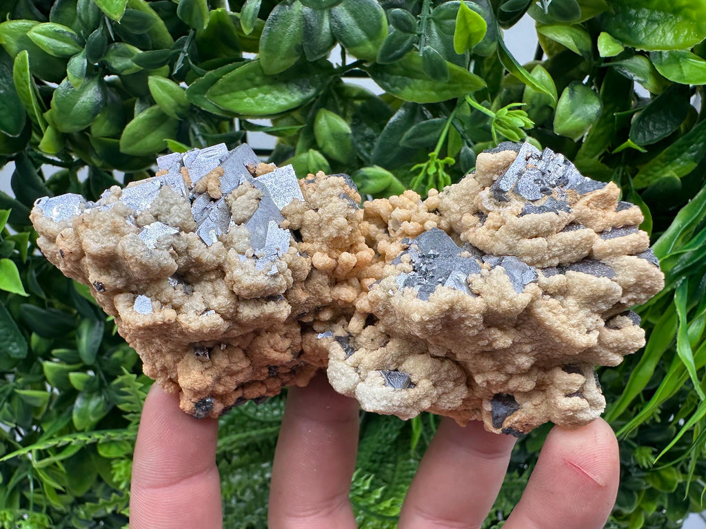 Galena Dolomite Cluster, Krushev dol Bulgaria Mineral Specimen