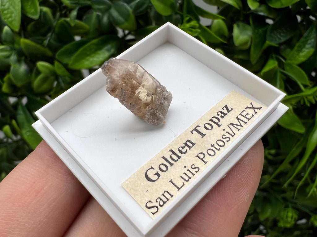 Beautiful Golden Topaz from Mexico,collection piece Crystal,Mineral,collectibles,Collectors, Natural Crystal, Minerals from Mexico,original,