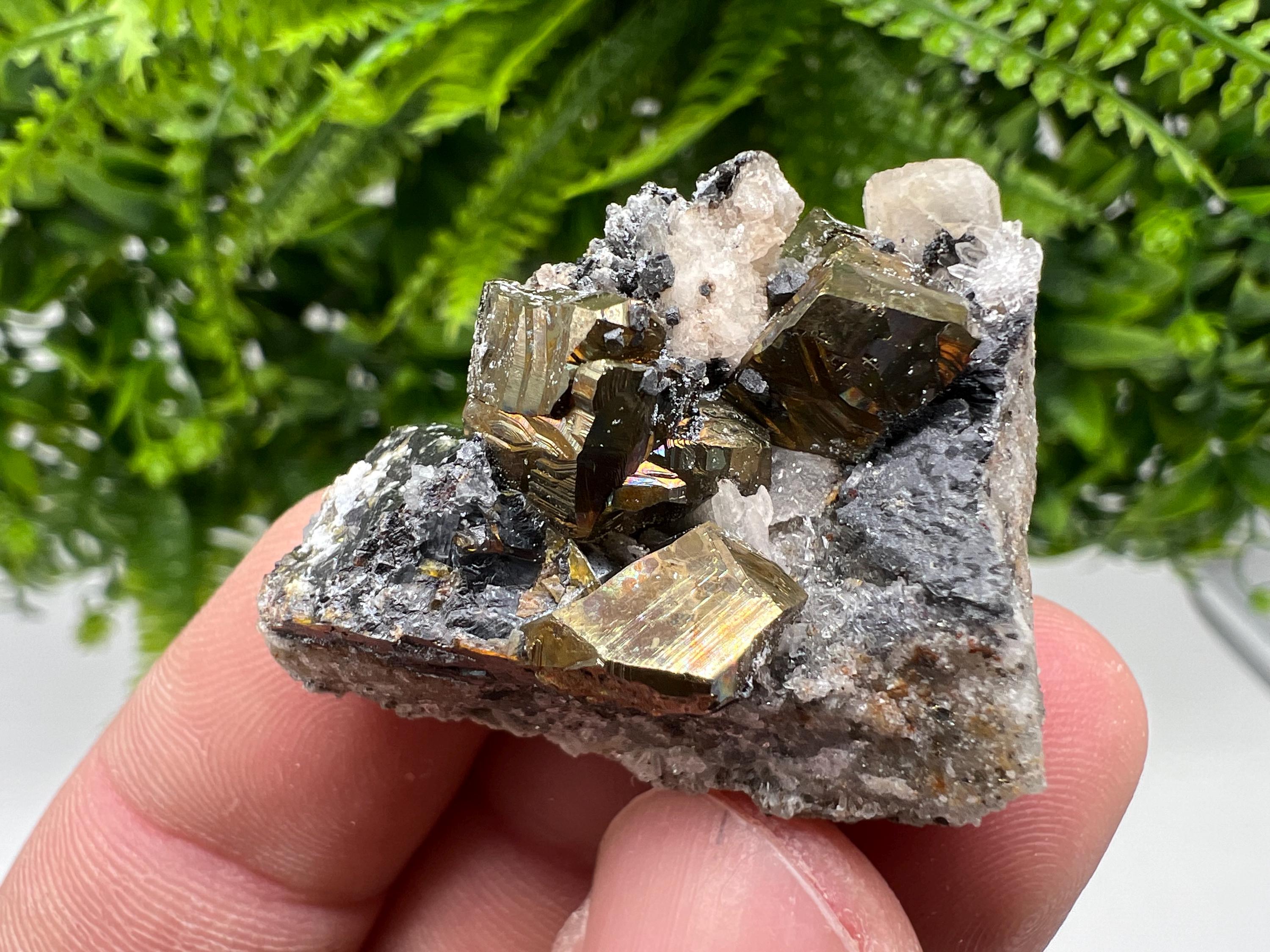 Pyrite with Hematite, Sphalerite and Quartz Specimen, Bulgaria