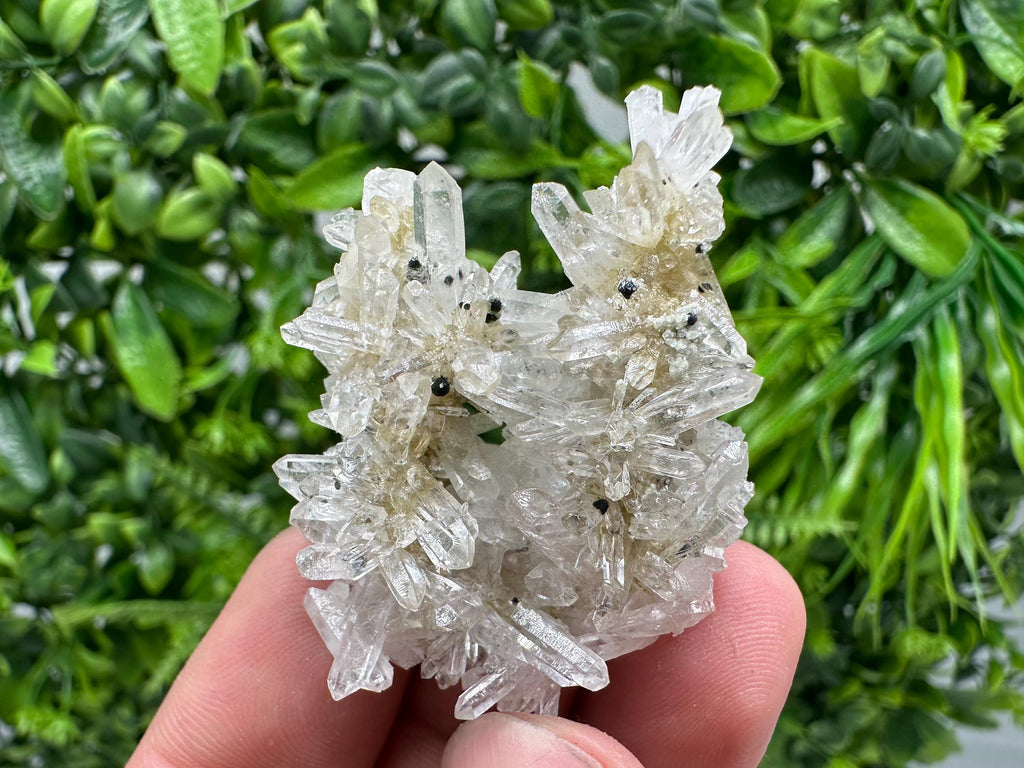 Transparent Quartz Crystal Specimen: Djurcovo Mine, Bulgaria