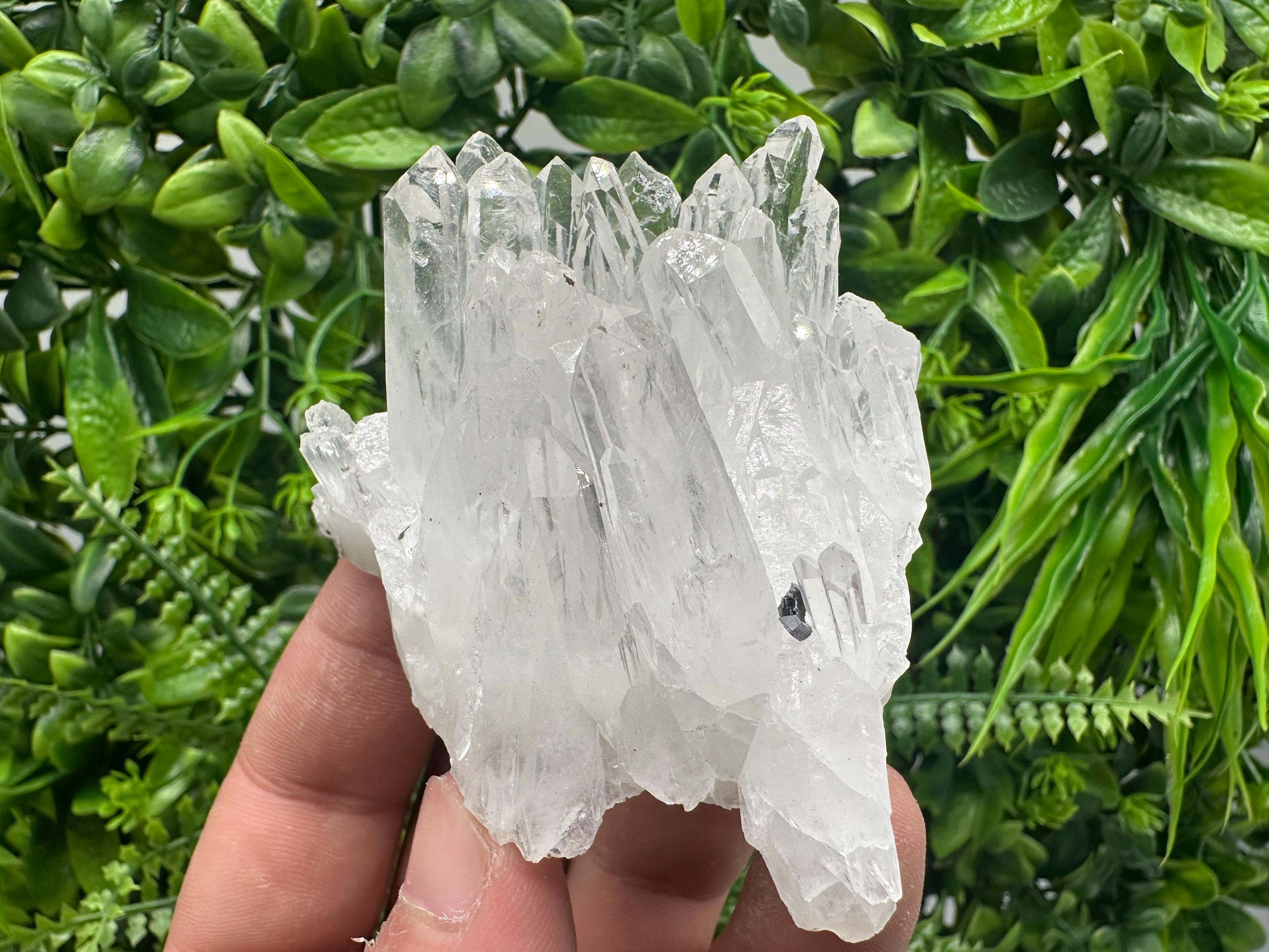 Transparent Quartz Cluster, Djurcovo Mine Bulgaria, Rare Crystal Specimen