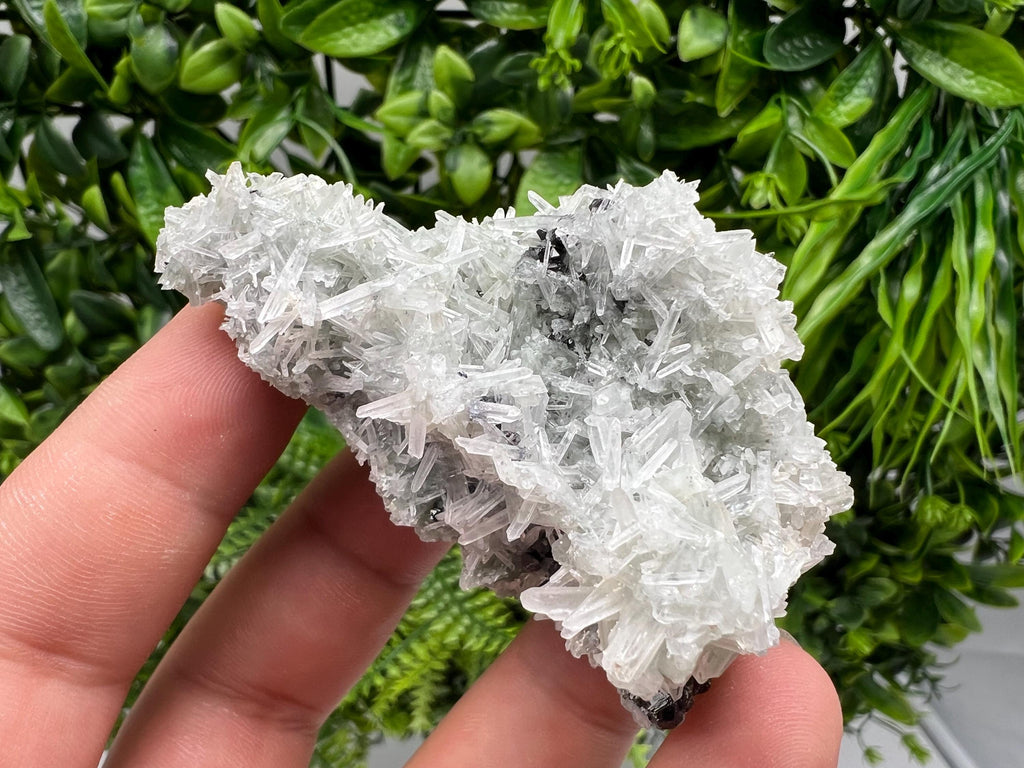 Chlorite Quartz Crystal Specimen: Borieva Mine, Bulgaria