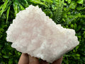 UV Reactive Mangano Calcite, Androvo Mine Bulgaria, Mineral Specimen