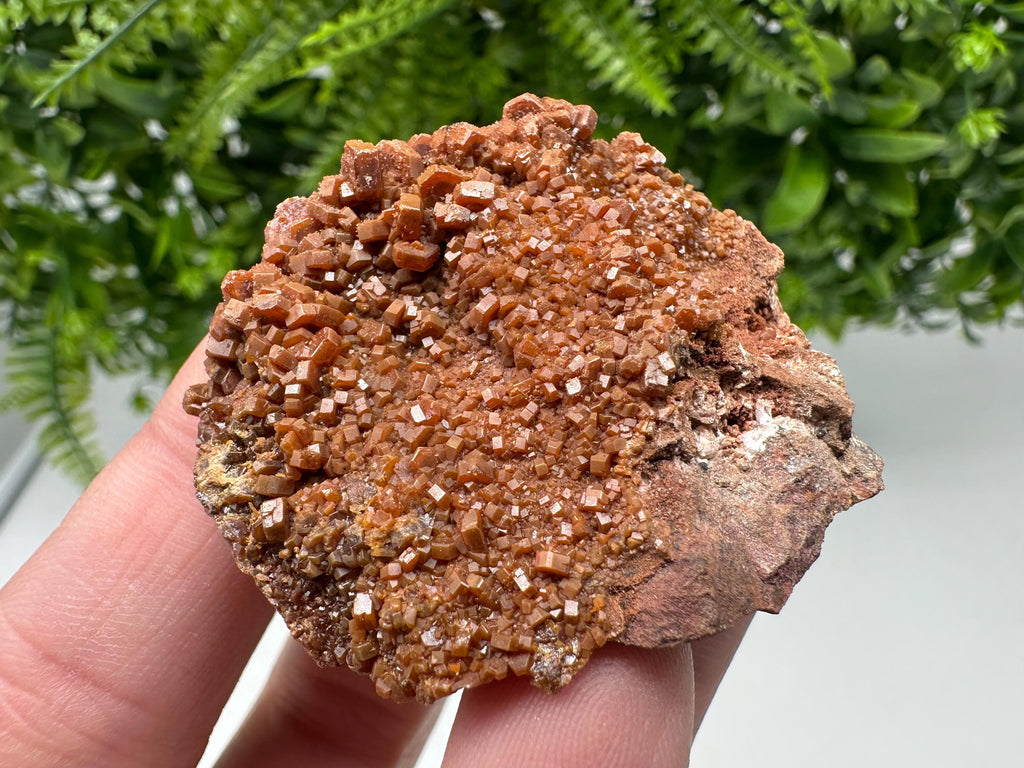 Red Vanadinite on Matrix from Marocco,crystal minerals Speciment cluster Vanadinite crystal Vanadinite Geology Vanadinite cluster minerals