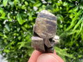 Mini Rainbow Pyrite Cluster: Borieva Mine, Bulgaria