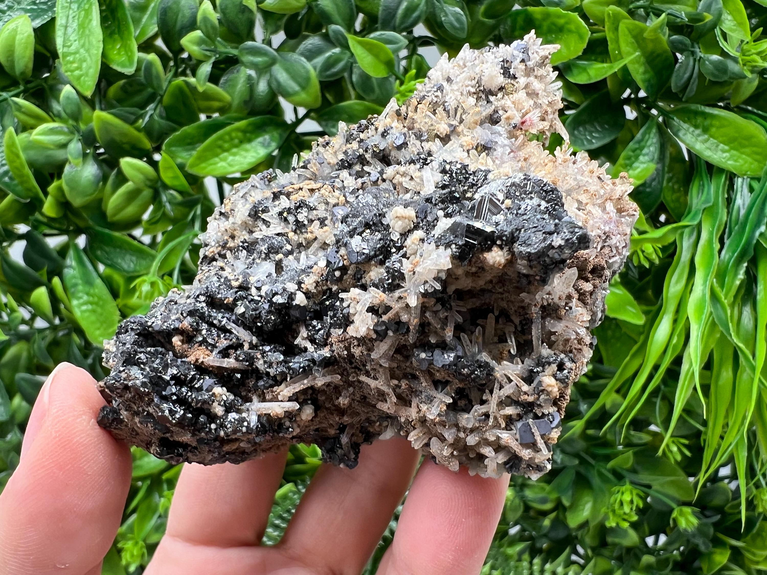 Aesthetic Natural shiny Galena whit Siderite and Quartz from 9 th September mine,Bulgaria,collection specimen,rare galena,Galena cluster