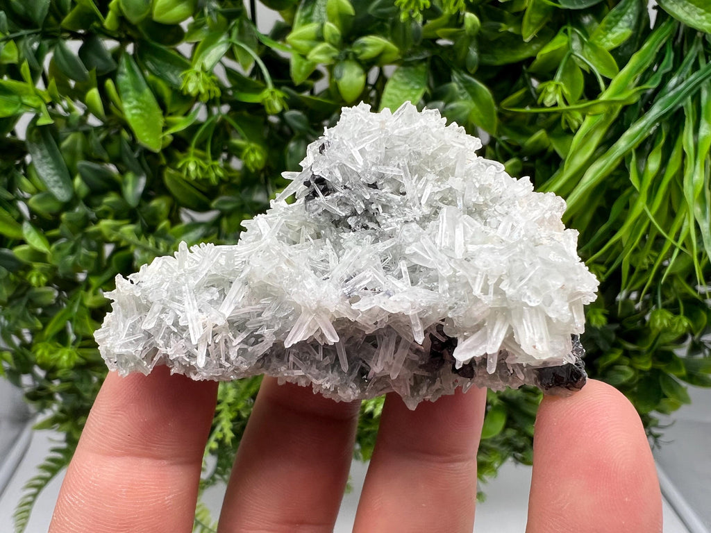 Chlorite Quartz Crystal Specimen: Borieva Mine, Bulgaria