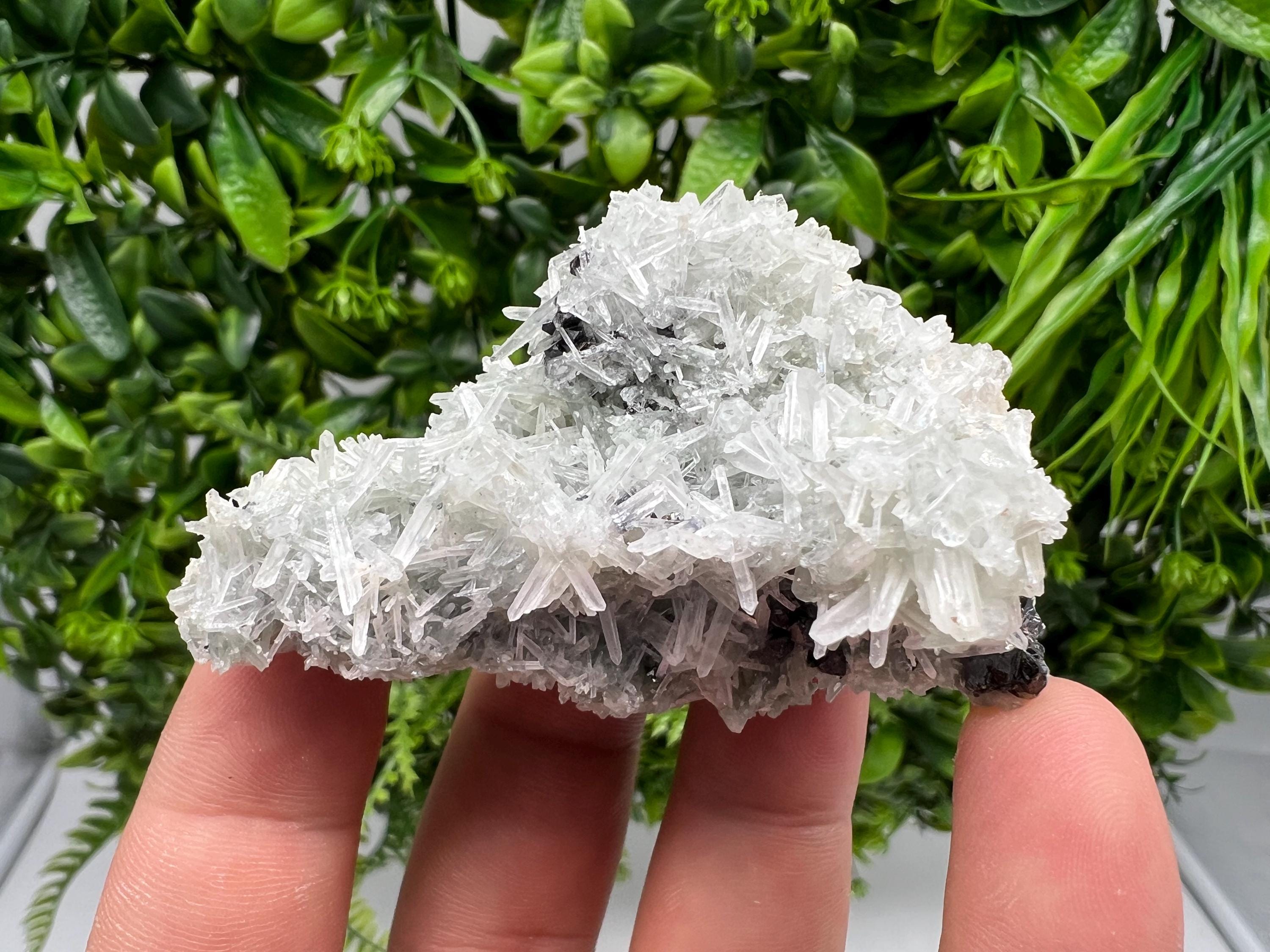 Chlorite Quartz Crystal Specimen: Borieva Mine, Bulgaria