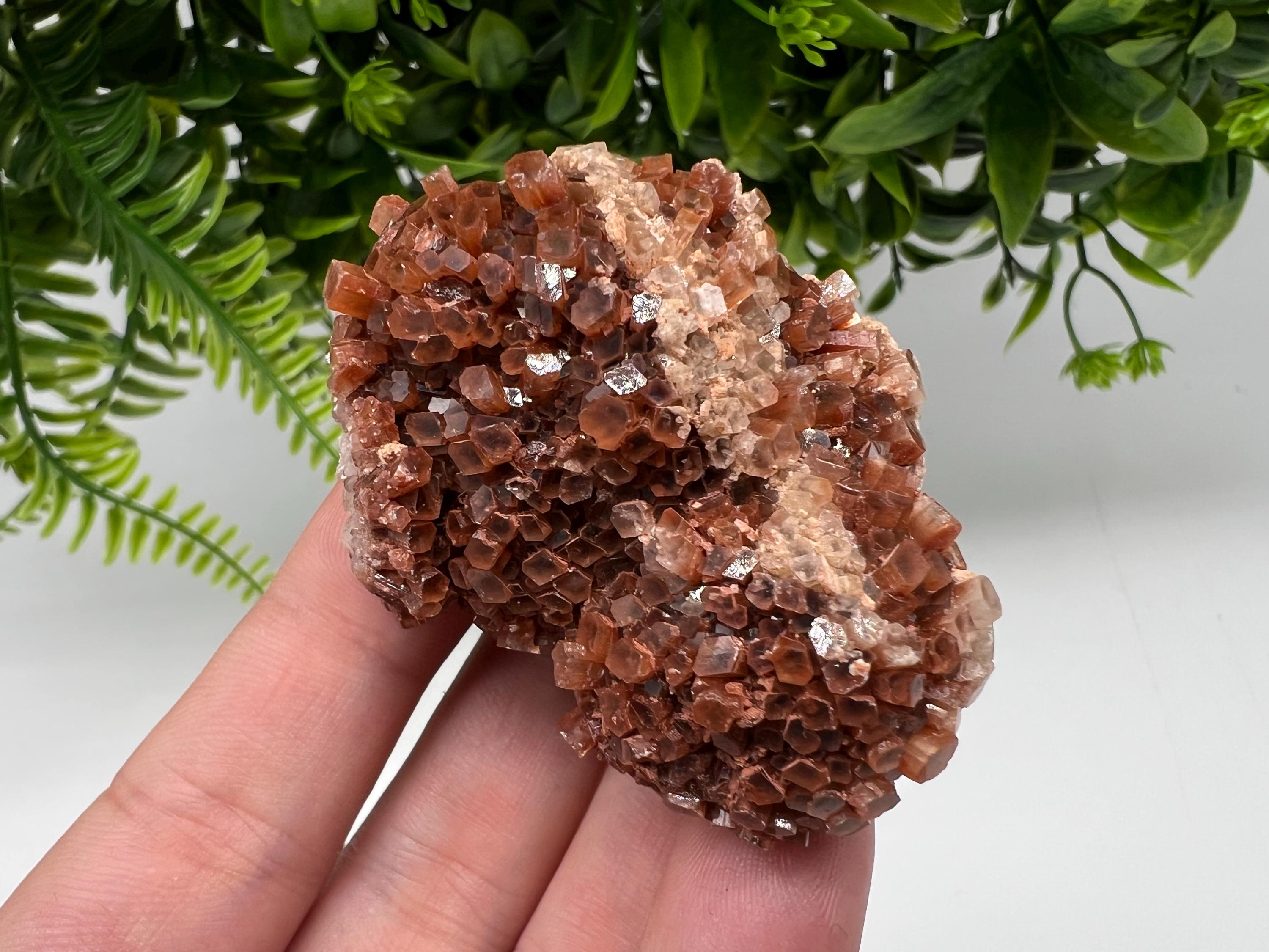 Large Aragonite Sputnik Cluster: Raw Moroccan Crystal Stone