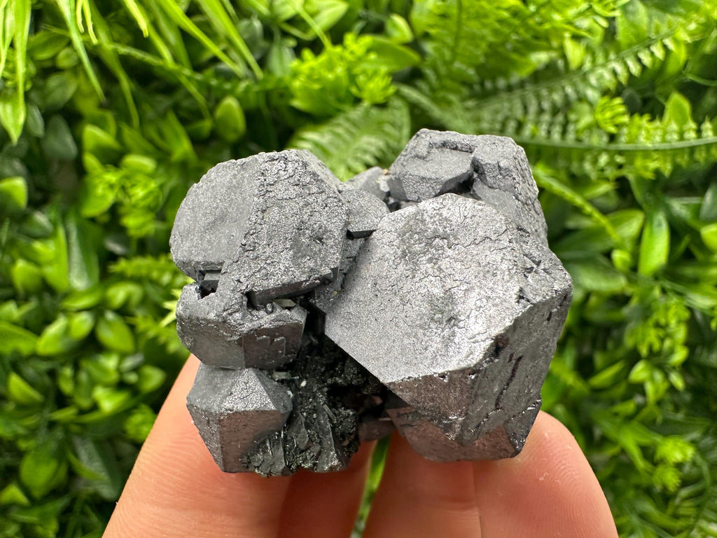 Galena with Sphalerite, Borieva Mine Mineral Specimen