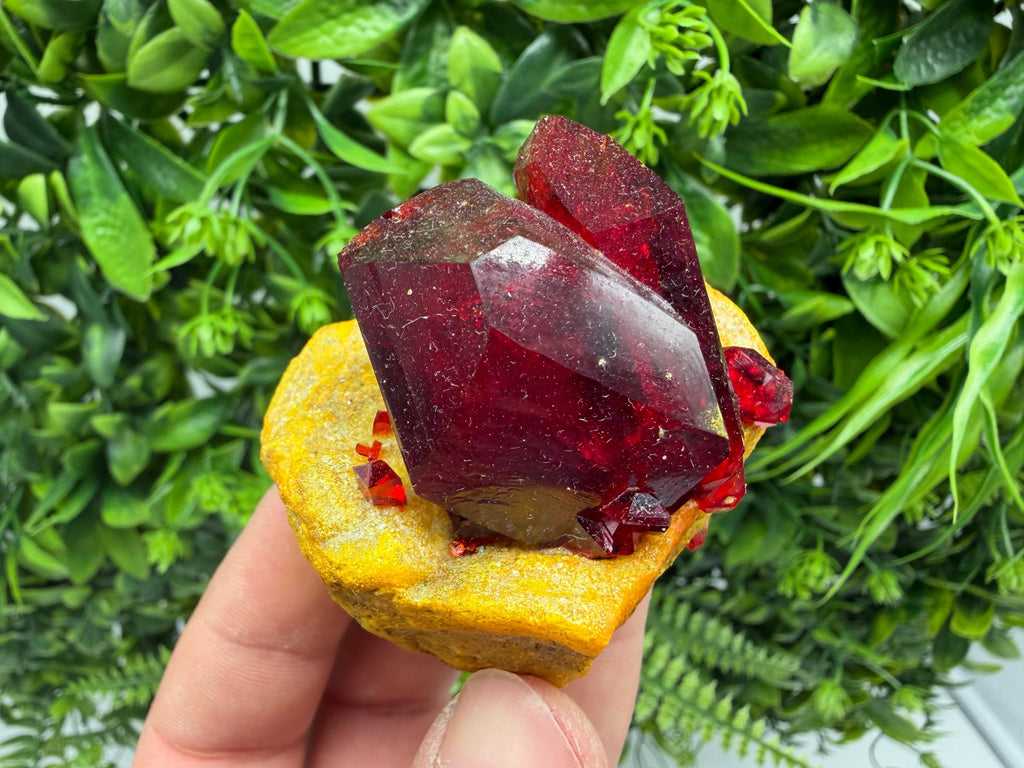 XXL Laboratory Pruskite Ruby Crystal on Matrix
