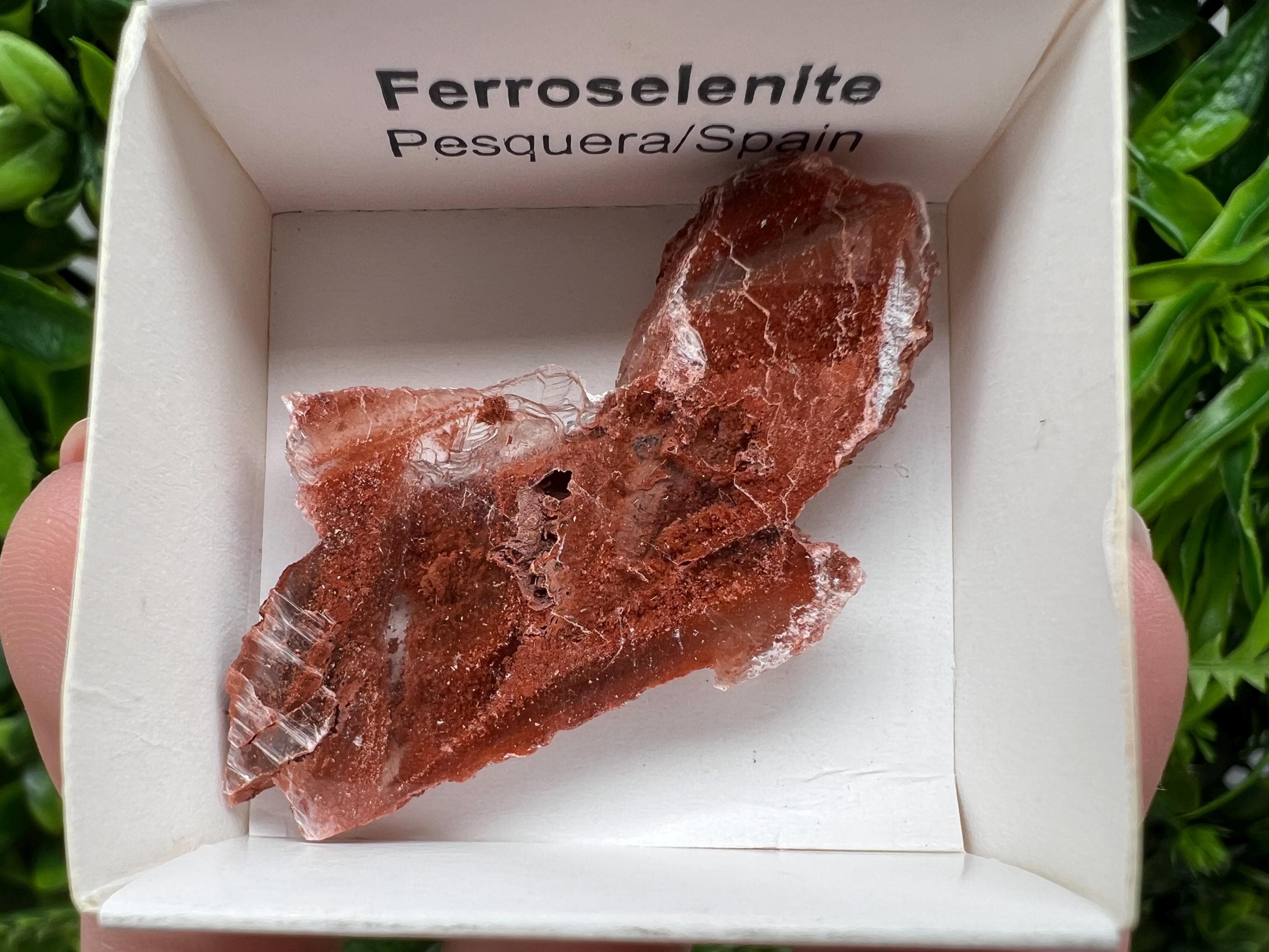 Rare Ferroselenite Mineral Specimen, La Pesquera Spain