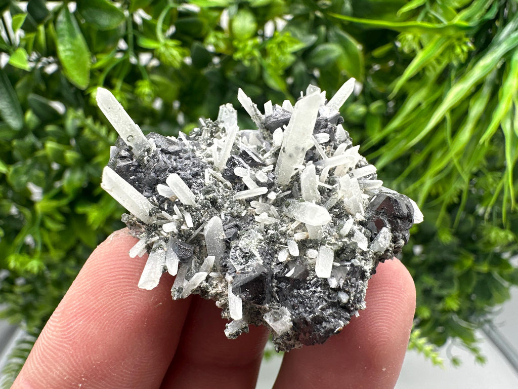 Wonderful Sphalerite on Quartz,From Borieva mine,Bulgaria,natural mineral,collection crystal,home decor stone,rare cluster,gift,souvenir