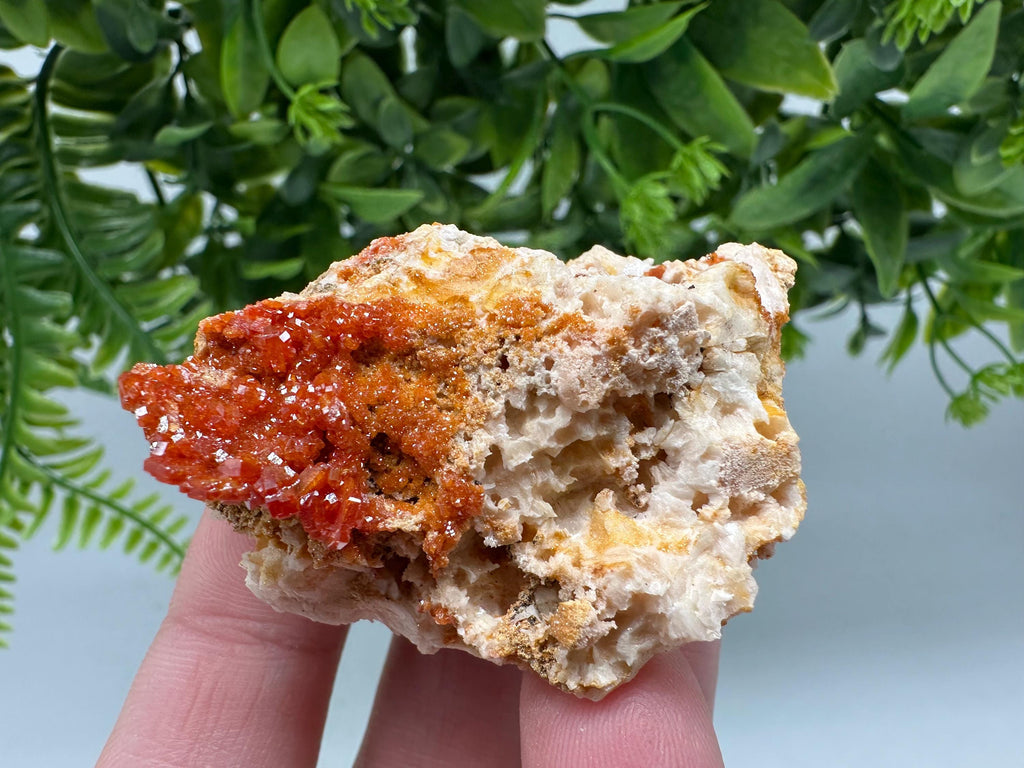 Red Vanadinite on Barite from Marocco,crystal minerals Speciment cluster Vanadinite crystal Vanadinite Geology Vanadinite cluster minerals