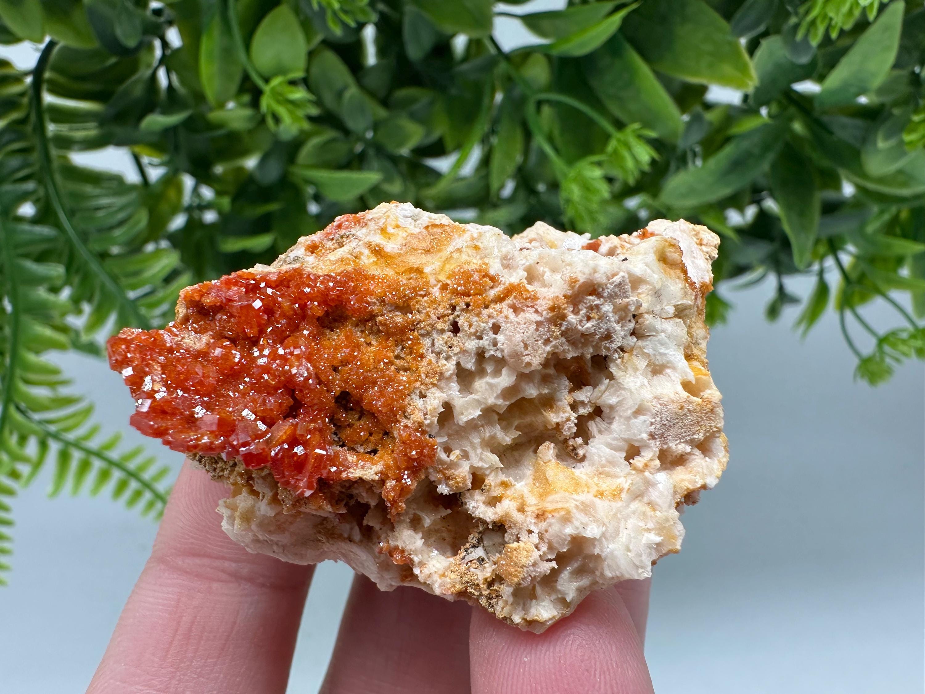 Red Vanadinite on Barite from Marocco,crystal minerals Speciment cluster Vanadinite crystal Vanadinite Geology Vanadinite cluster minerals
