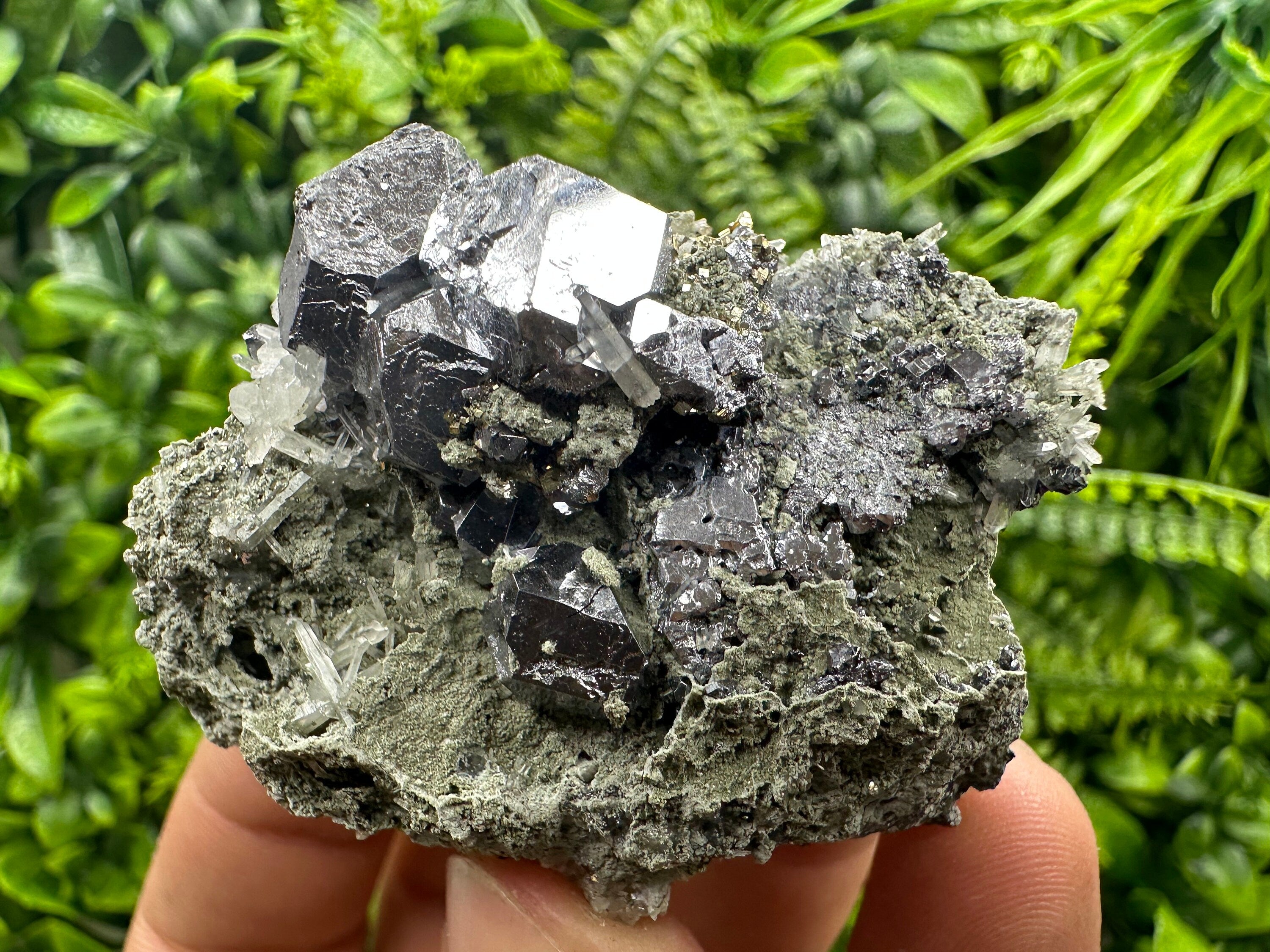 Galena on Quartz and Chlorite: Natural Minerals from Borieva Bulgaria