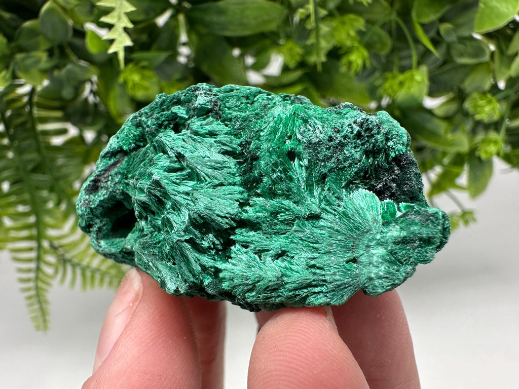 Polished Malachite Crystal Specimen from Congo, Green Mineral Chakra Stone