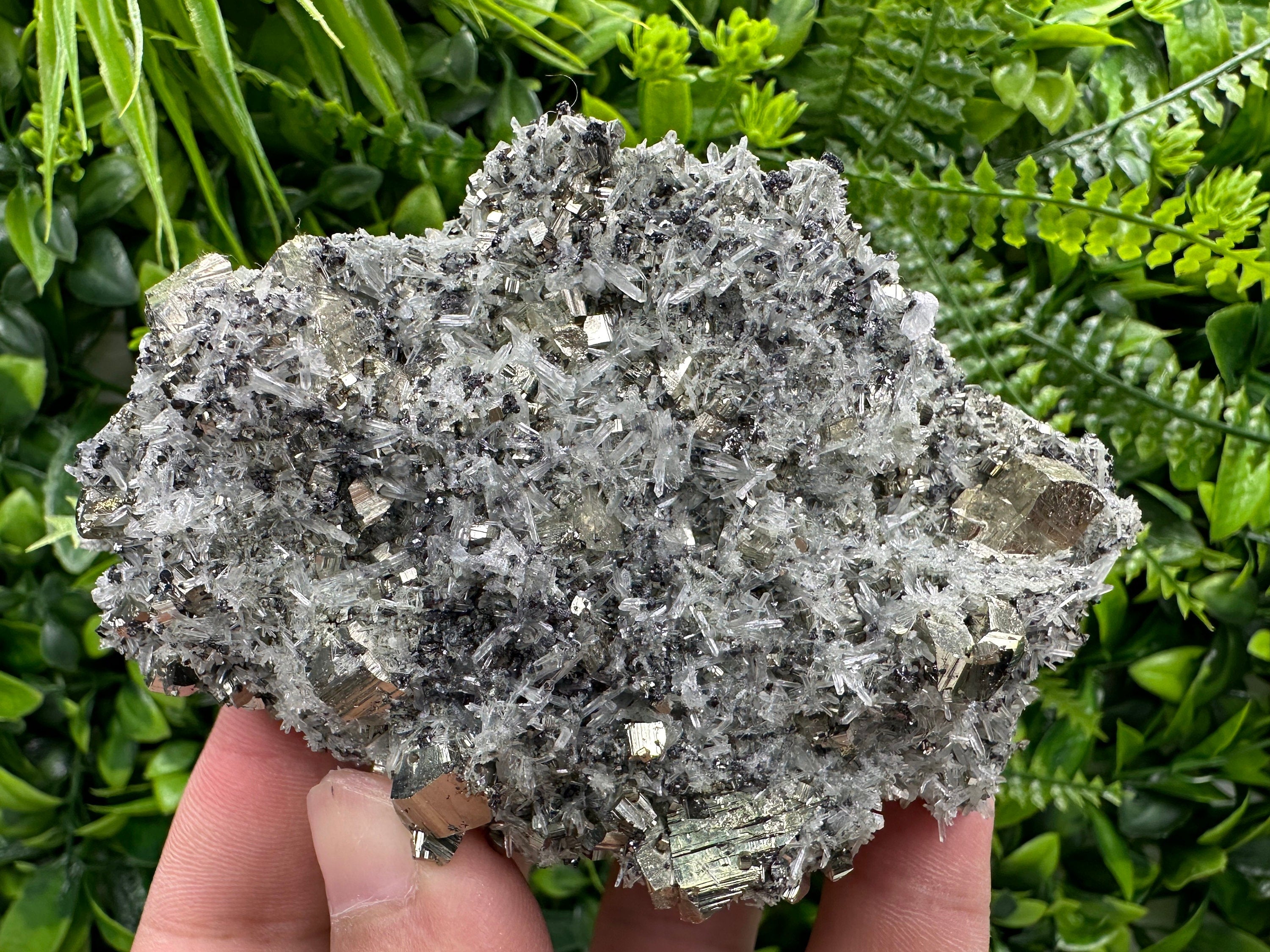Pyrite on Quartz Needles: Borieva Mine Bulgaria Crystal Decor