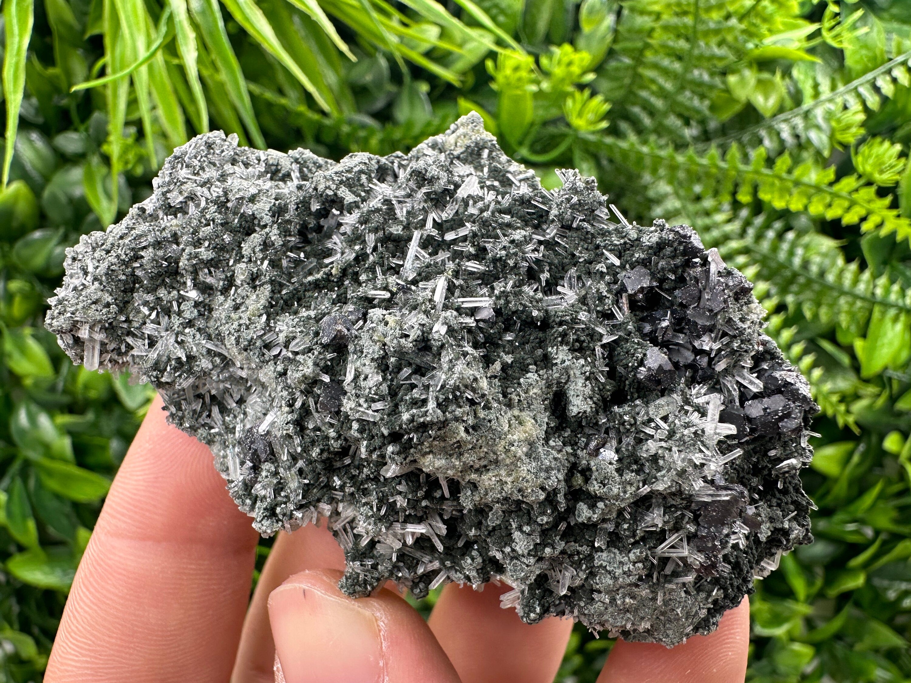 Sphalerite on Green Quartz with Chlorite Inclusion - Bulgaria Crystal Decor (8/6/4 cm)