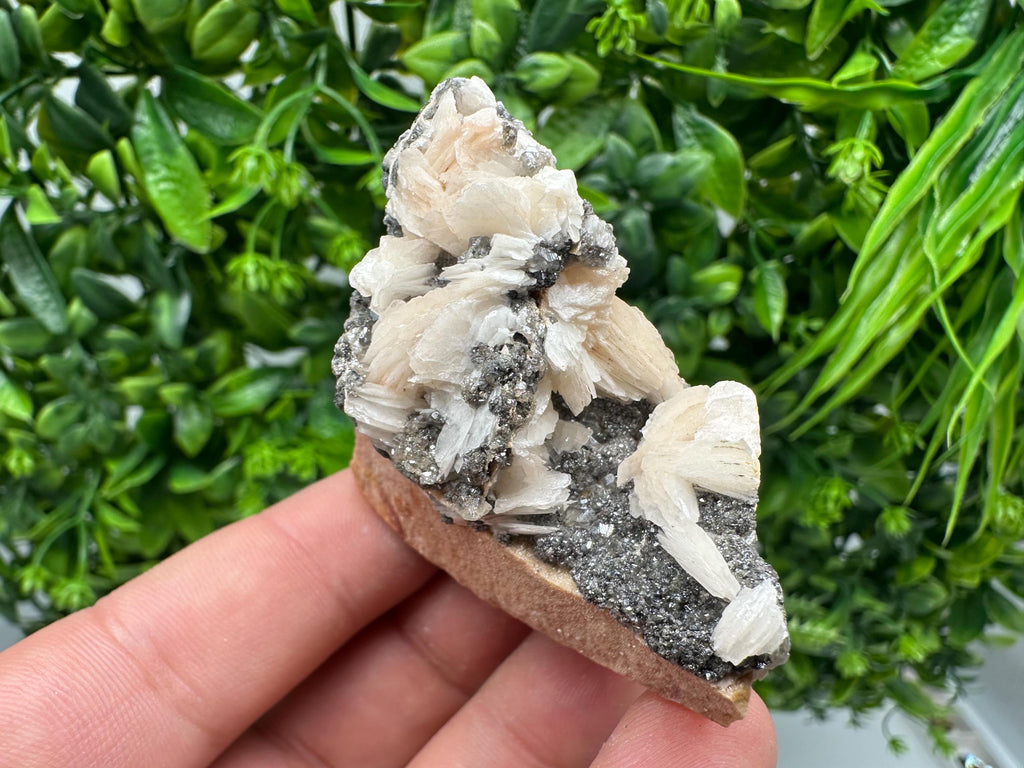 Wonderful Baryte with Cerussite on Galena from Morocco,Crystal, Mineral,Specimen,Cluster,Crystals,Barite Crystal,Cerussite Crystal,Specimen