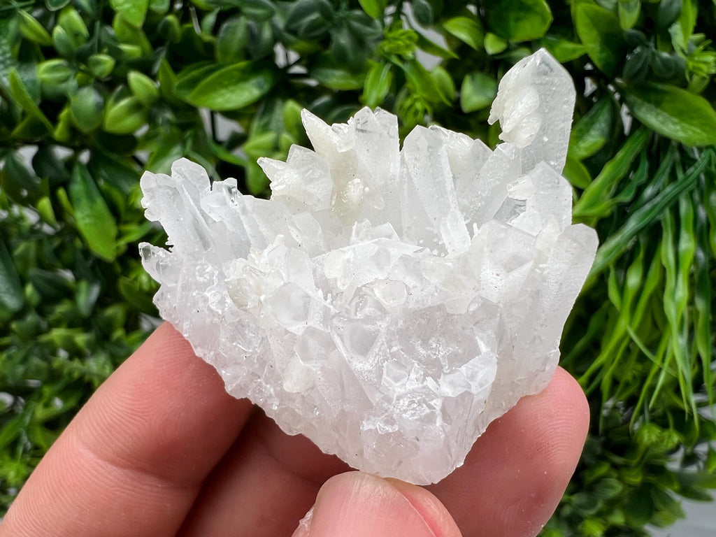 Calcite on Green Quartz: Djurcovo Mine, Bulgaria Healing Crystal