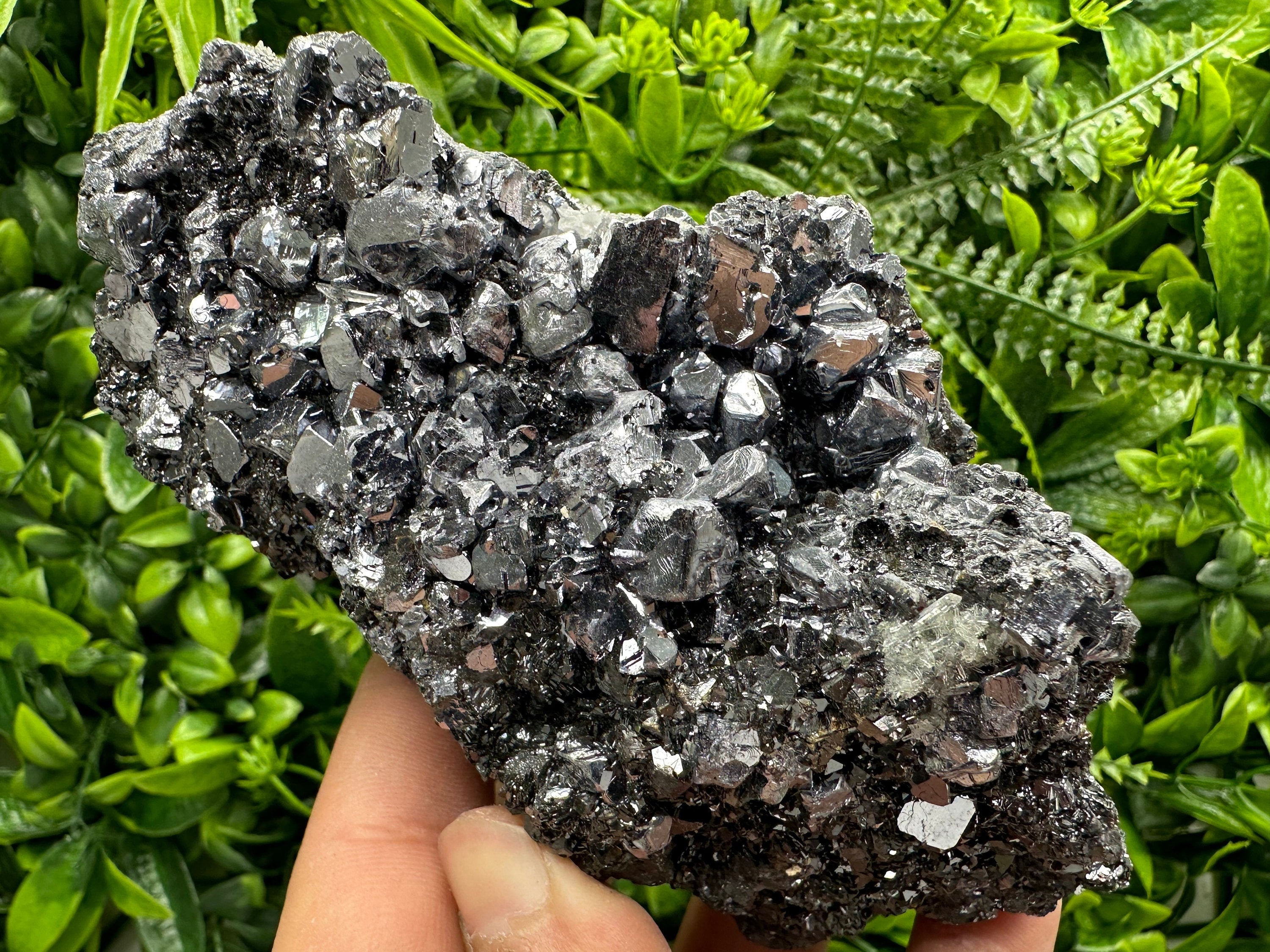 Mirror Galena on Sphalerite, Borieva Mine Mineral Specimen