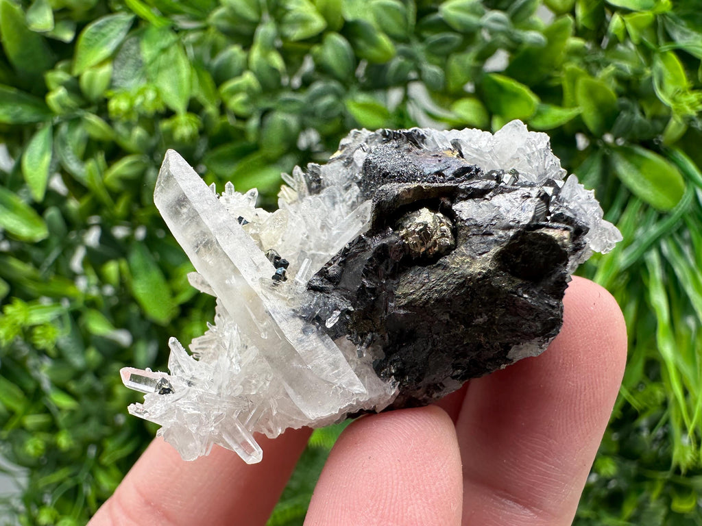 Wonderful Sphalerite Chalcopyrite on  Quartz whit Galena feom 9 th September mine,Bulgaria,natural,collection mineral specimen,gift