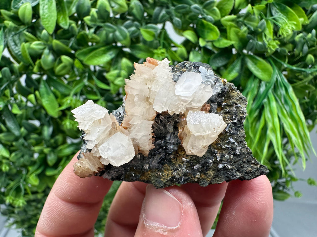 Quartz Crystal with Calcite and Chlorite - Borieva Mine, Bulgaria