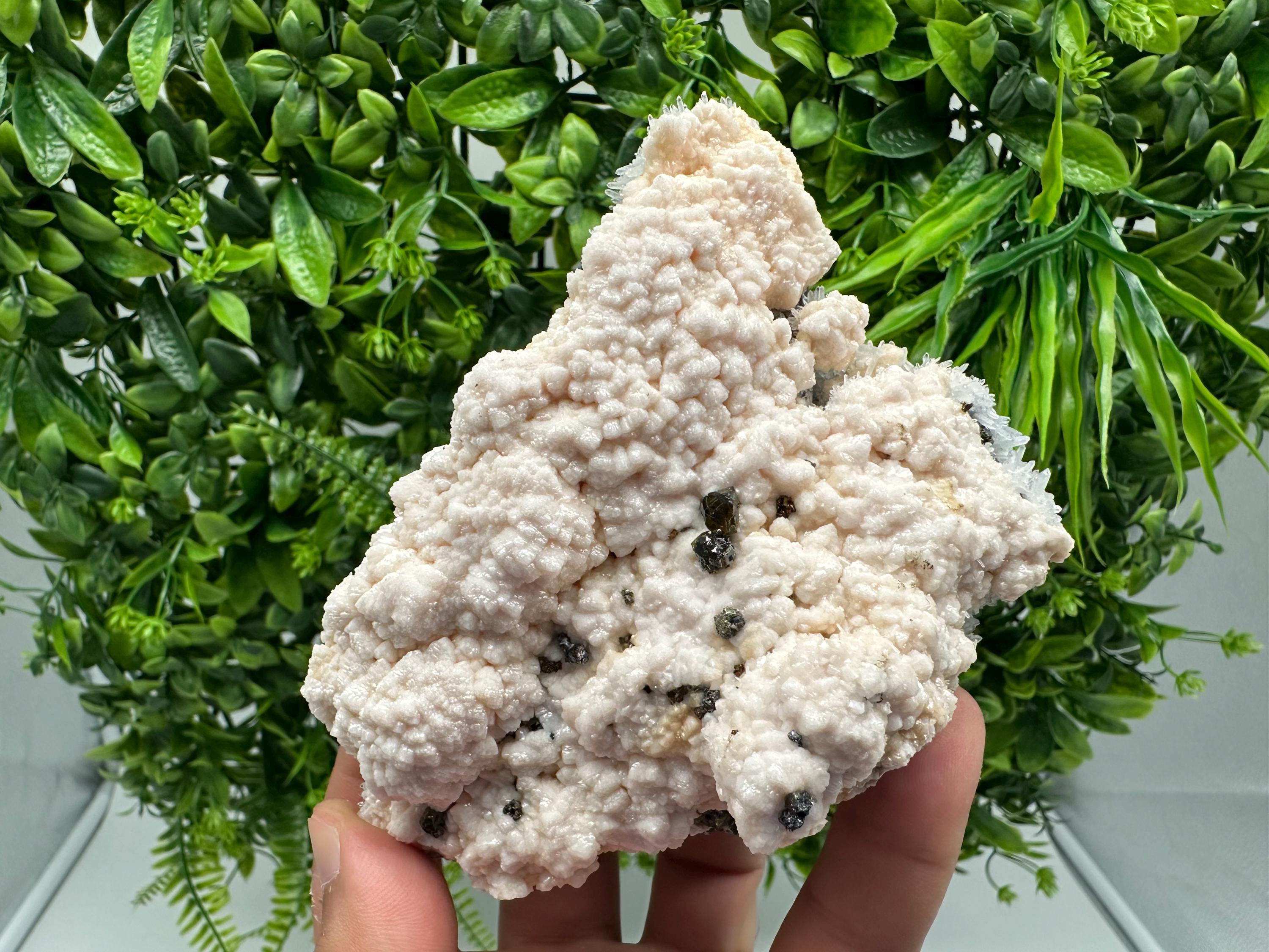 Stunning Manganocalcite whit Cleiopfane  from Krushev dol mine,Madan,Bulgaria,pink Calcite,Mangano Calcite,natural,collection mineral specim
