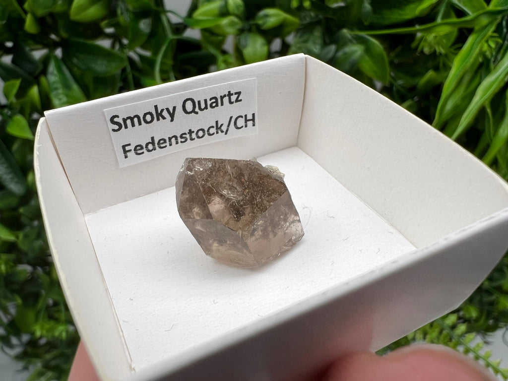 Rare Fedenstock Smoky Quartz Point, Swiss Mineral Specimen (20MM)
