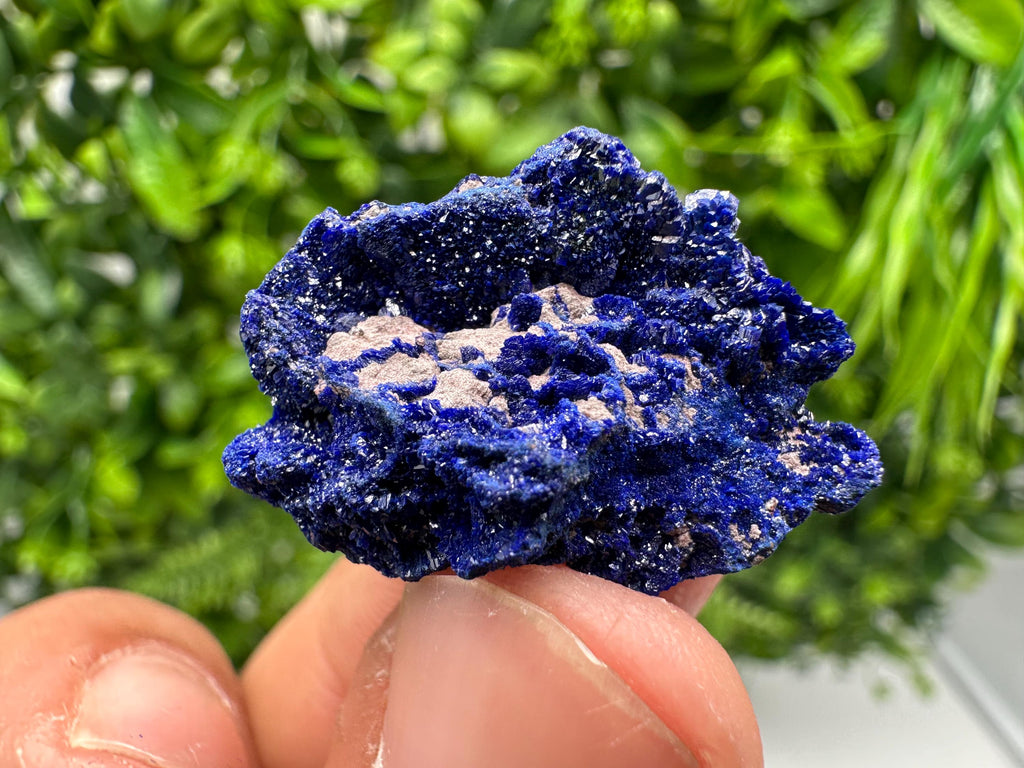Crystallized Azurite-Kerrouchen,Morocco-Blue Azurite Specimen-High Quality Blue Azurite-Azurite Mineral Specimen, gemmy,lustrous of Azurite