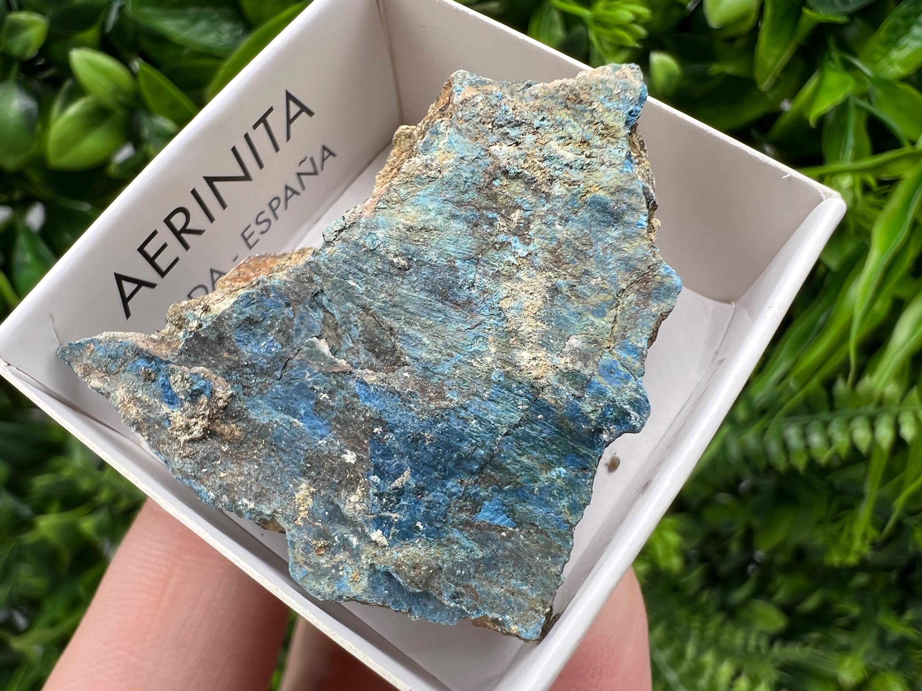 Rare Raw Aerinite Mineral Specimen: Lleida Spain Crystal Collection