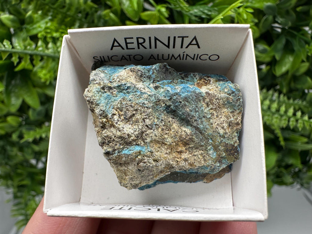 Rare Raw Aerinite Mineral Specimen: Lleida, Spain Crystal