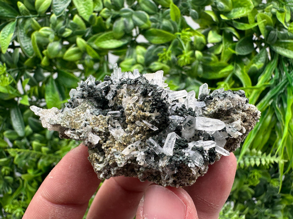Transparent Quartz on Chlorite Matrix, Bulgaria Mineral Specimen