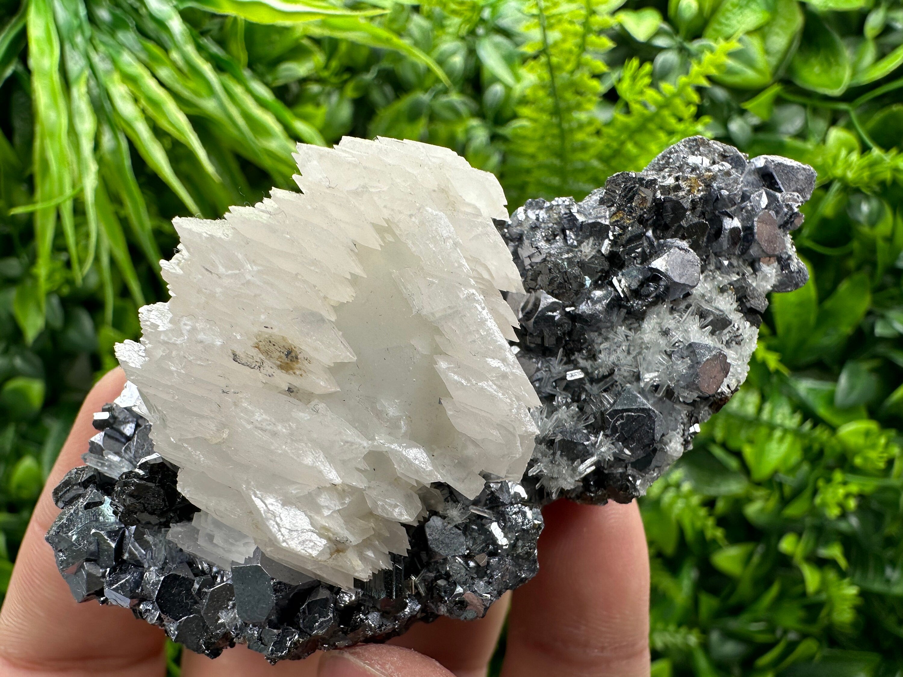 Calcite on Galena, Sphalerite & Quartz, Borieva Mine Mineral Specimen