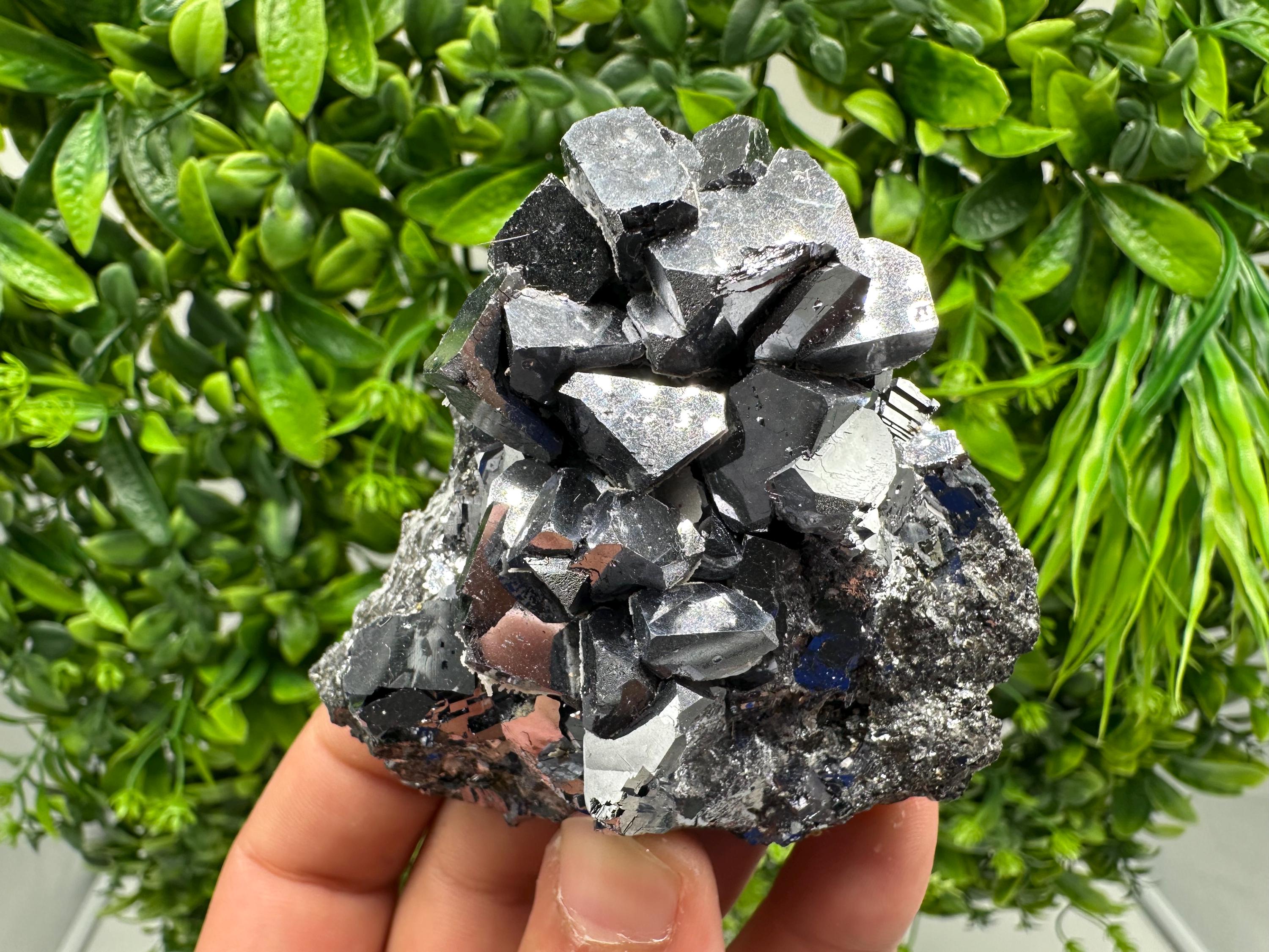 Rare Galena Cubes, Extra Mirror, Marzyan Mine, Bulgaria