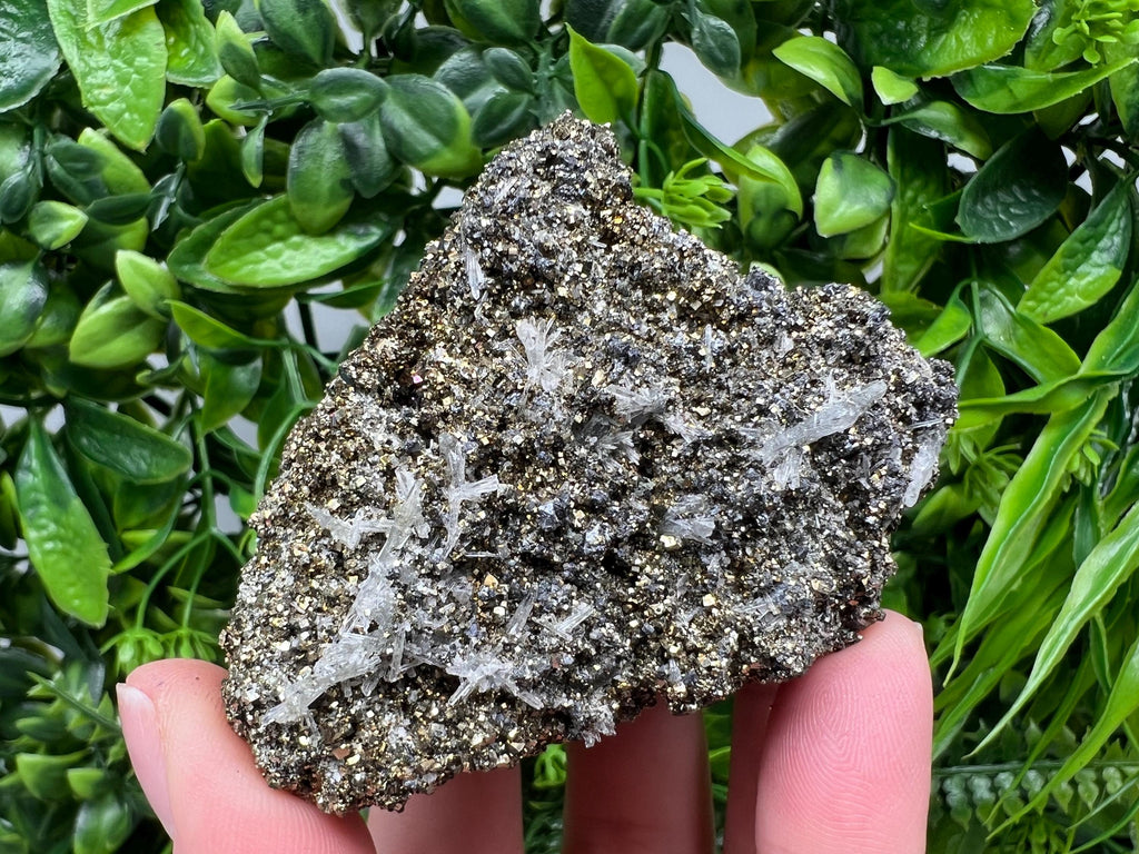Pyrite on Green Quartz Mineral Specimen, Borieva Mine, Bulgaria