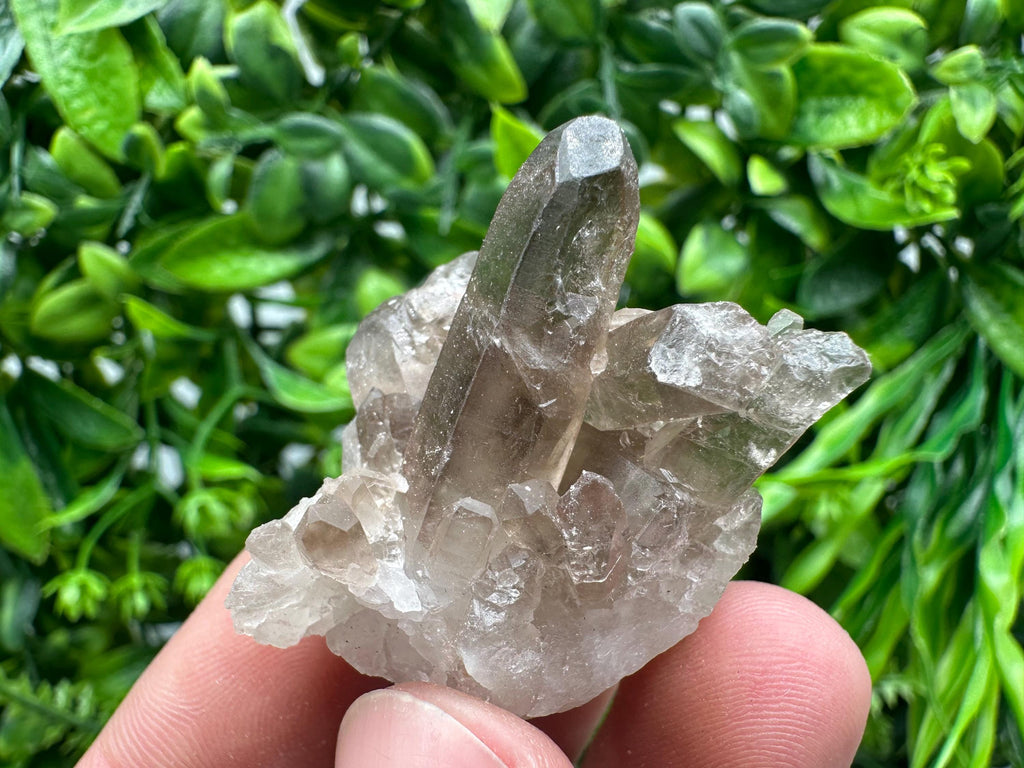 Rare Smoky Quartz Crystal Cluster, Brazil Mineral Specimen