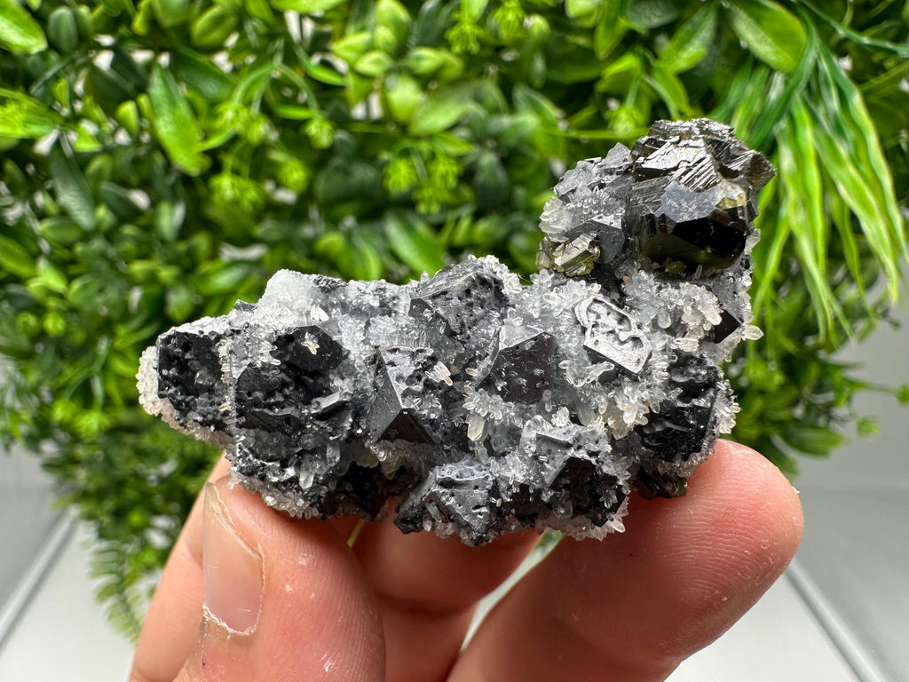 Rare Galena Sphalerite Pyrite Mineral Specimen: Krushev Dol Mine