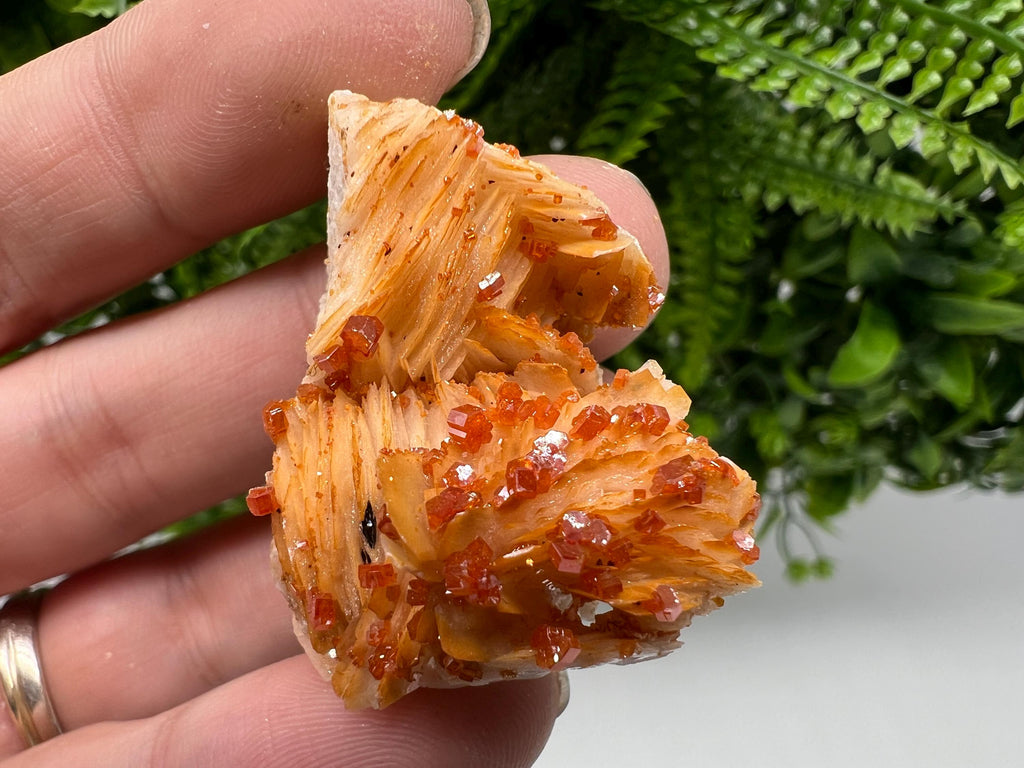Red Vanadinite on Barite from Marocco,crystal minerals Speciment cluster Vanadinite crystal Vanadinite Geology Vanadinite cluster minerals