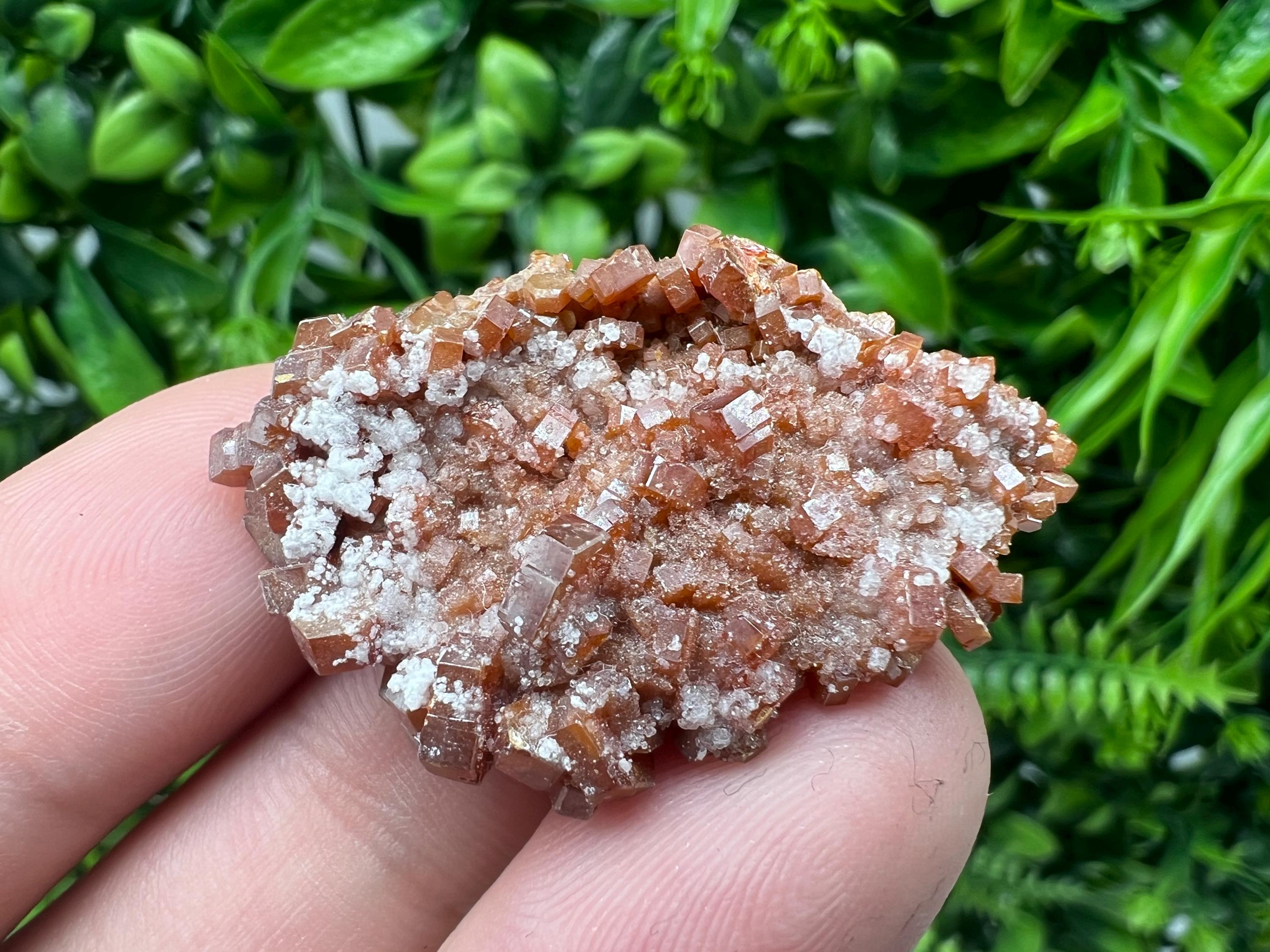 Red Vanadinite on Barite from Marocco,crystal minerals Speciment cluster Vanadinite crystal Vanadinite Geology Vanadinite cluster minerals