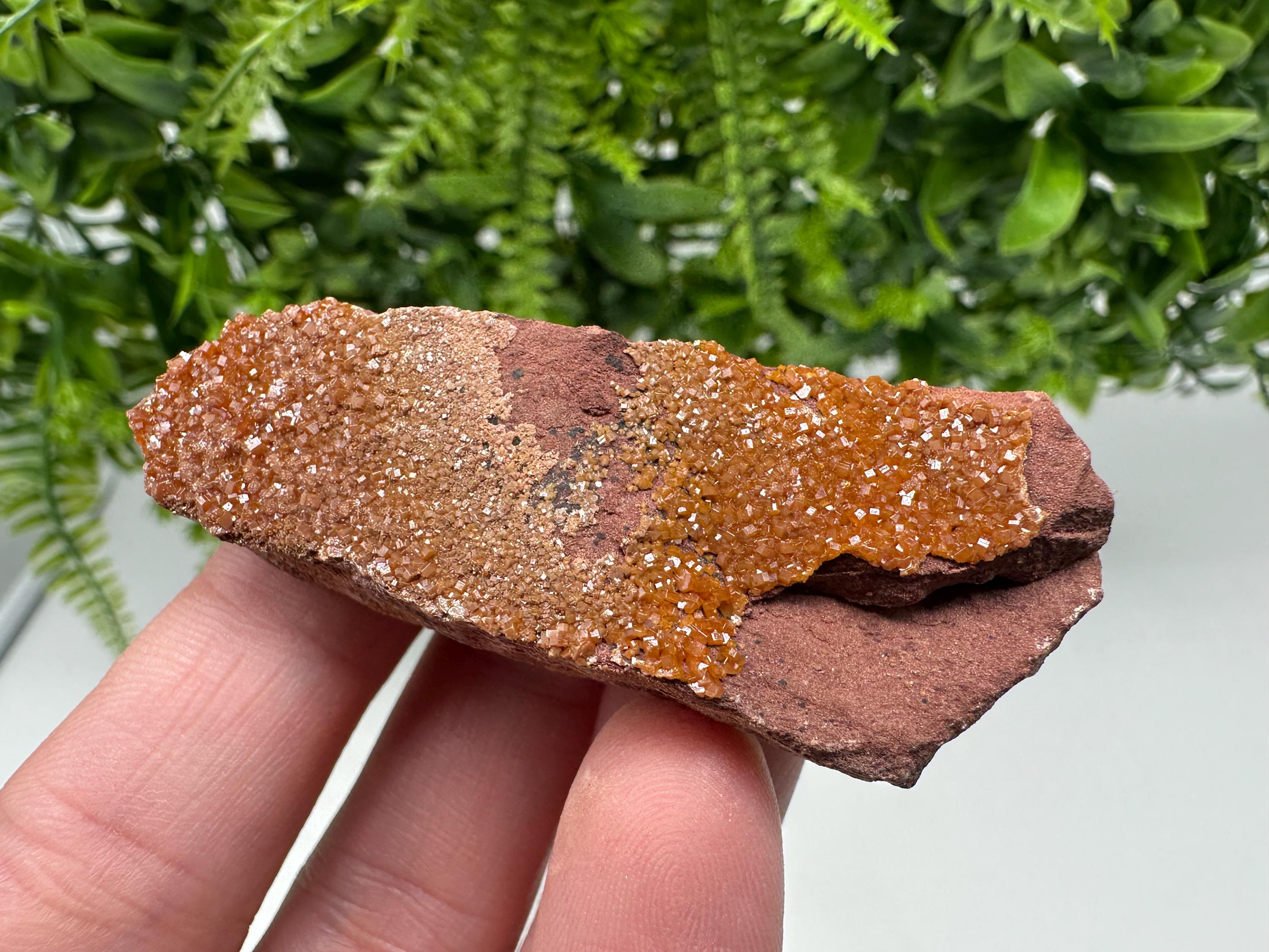 Red Vanadinite on Matrix from Marocco,crystal minerals Speciment cluster Vanadinite crystal Vanadinite Geology Vanadinite cluster minerals