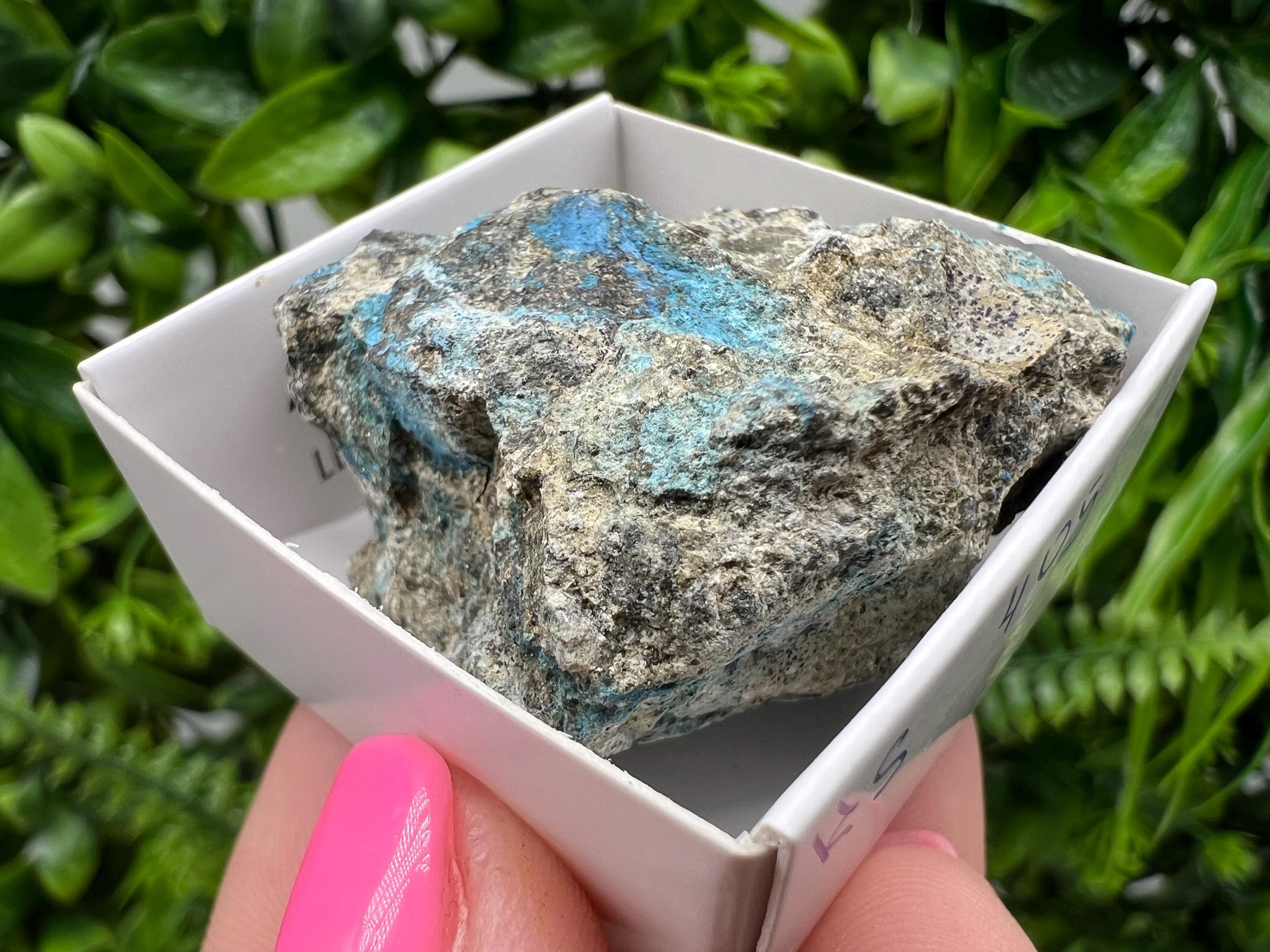 Rare Raw Aerinite Mineral Specimen: Lleida, Spain Collection Crystal