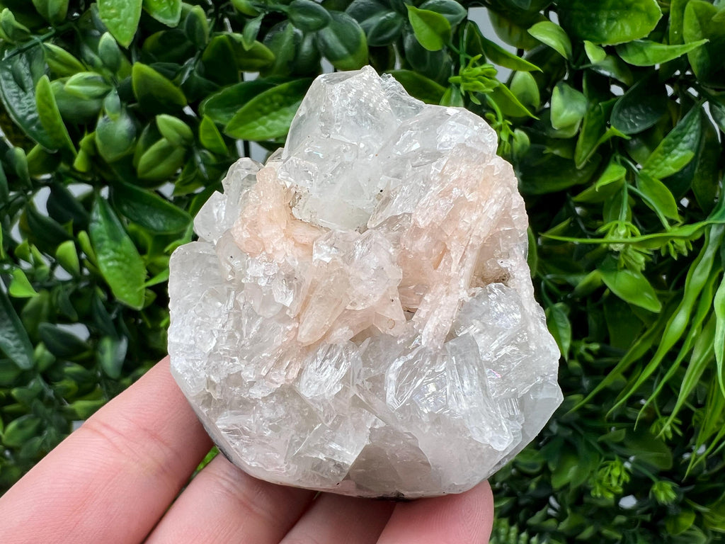 Apophyllite Stilbite on Chalcedony Specimen, India Crystal