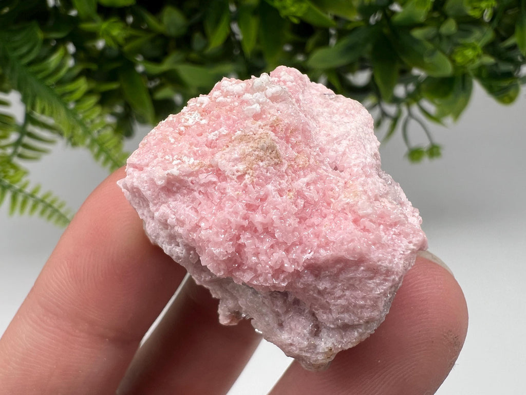 RARE Rhodochrosite with Calcite, Starnica Mine, Bulgaria