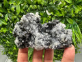 Galena Sphalerite Pyrite Mineral Specimen, Madan Bulgaria