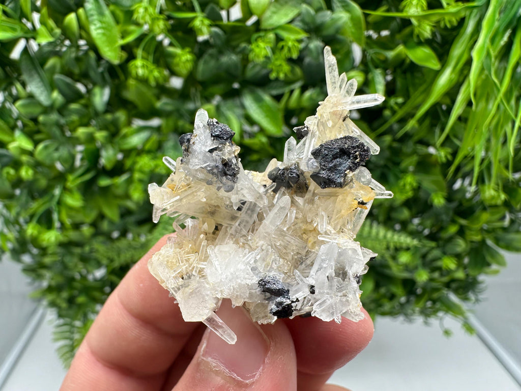 Wonderful Sphalerite Chalcopyrite on  Quartz whit Hematite from 9 th September mine,Bulgaria,natural,collection mineral specimen,gift