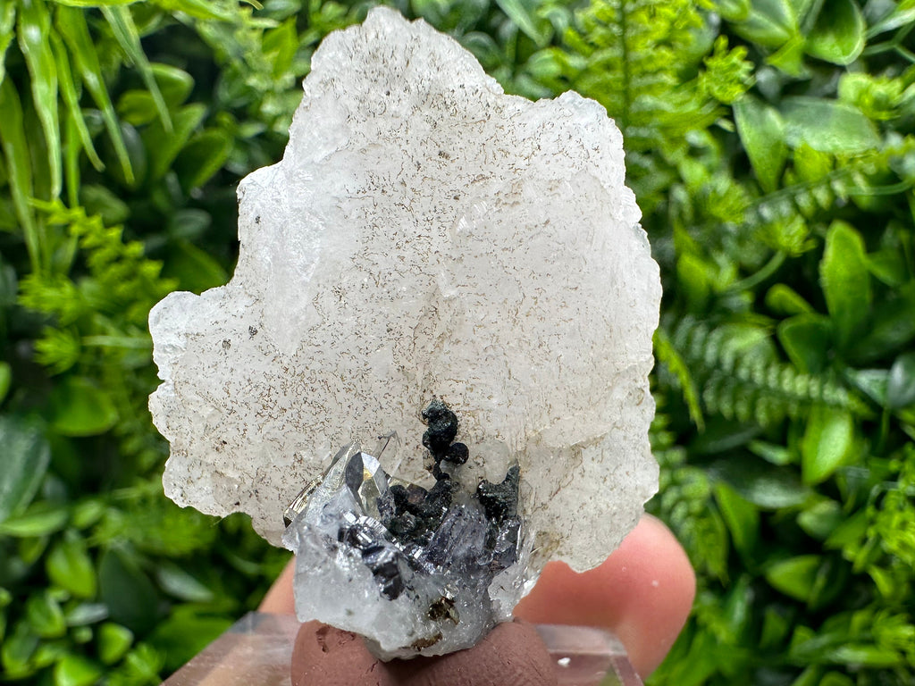 Mangano Calcite Wing on Quartz with Pyrite, Madan Bulgaria Mineral Specimen